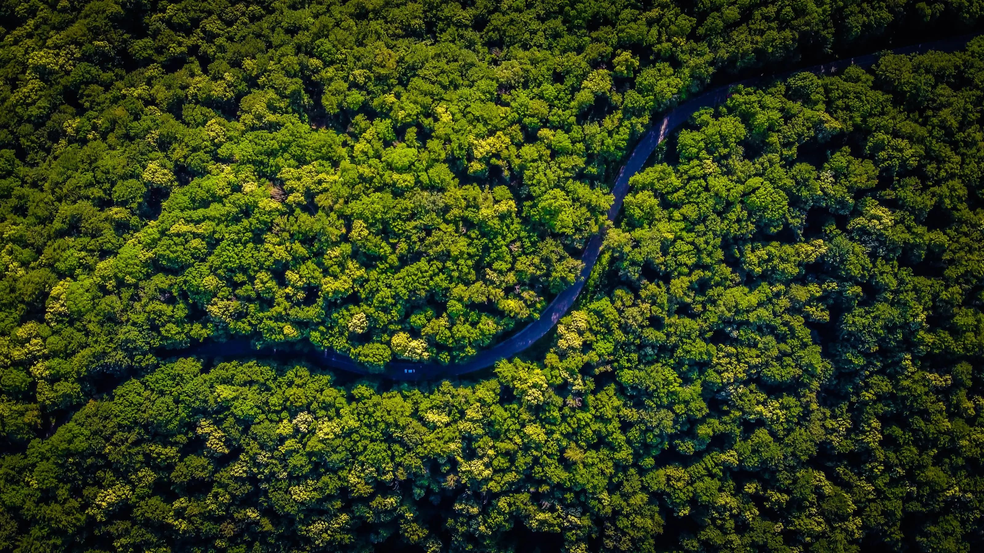 Biofuels in aviation: a credible alternative to achieve carbon neutrality