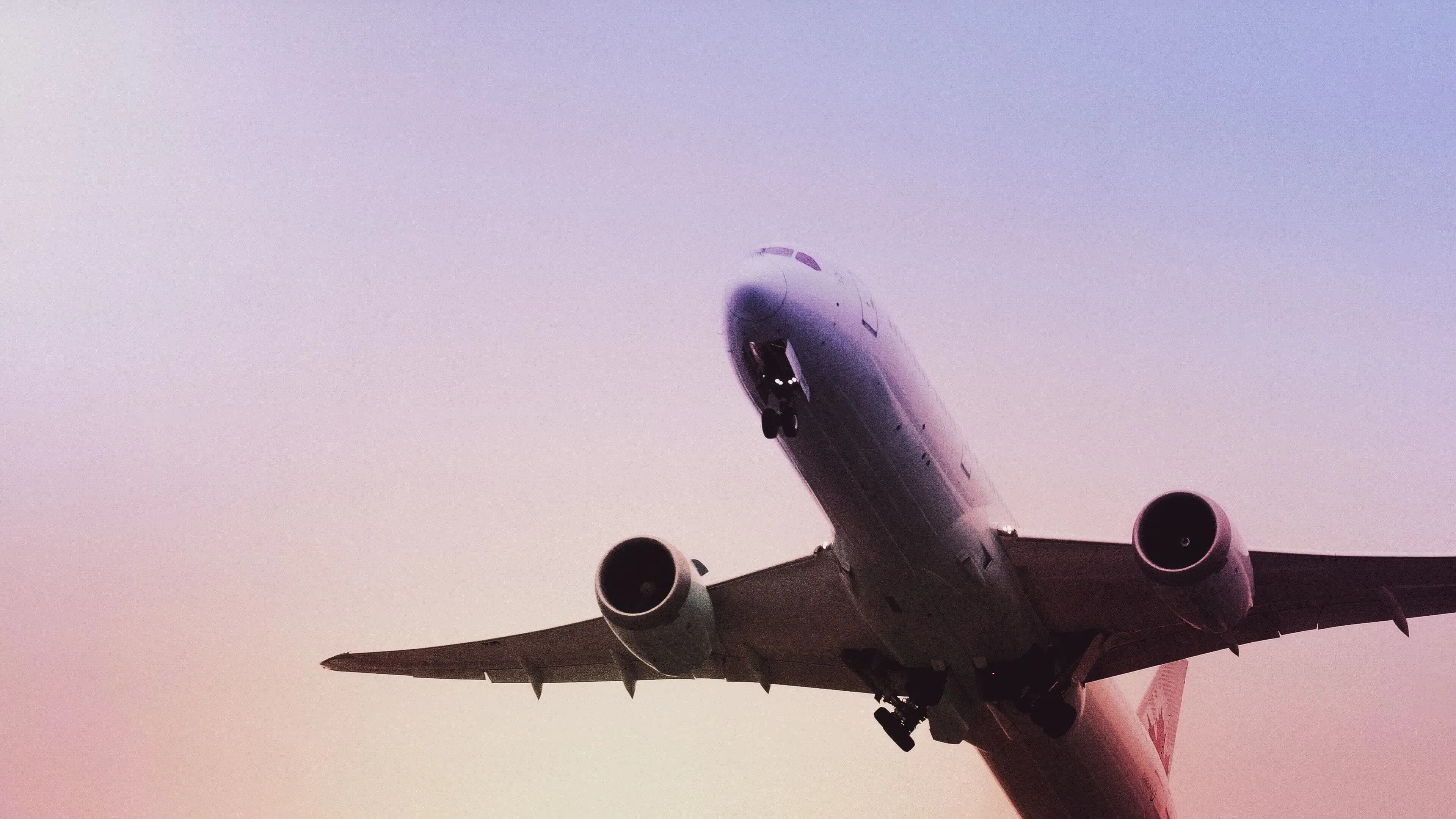 How does a plane fly?